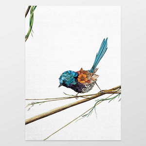 Marini Ferlazzo Organic Cotton Tea Towel - Variegated Fairy-Wren