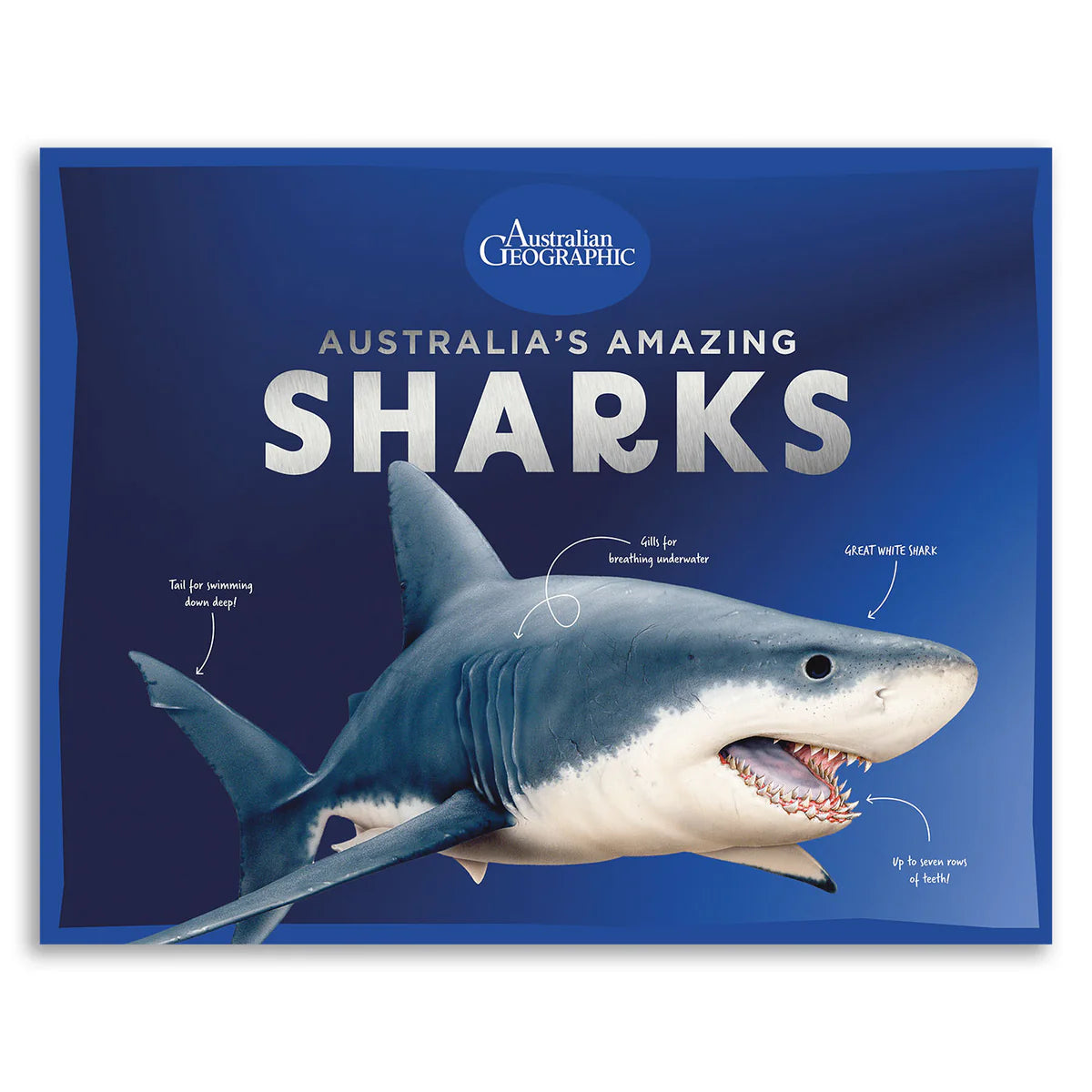 Australian Geographic Australia's Amazing Sharks Hardcover Book