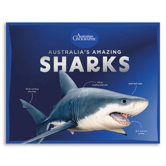 Australian Geographic Australia's Amazing Sharks Hardcover Book
