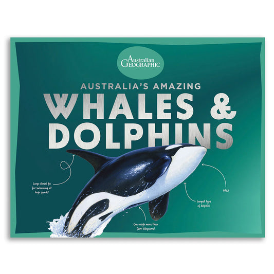 Australian Geographic Australia's Amazing Whales And Dolphins Hardcover Book