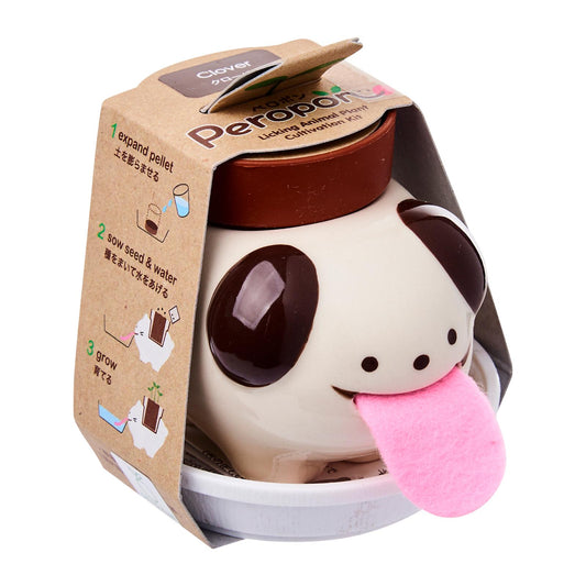Seishin Peropon Dog White Clover Plant Cultivation Kit