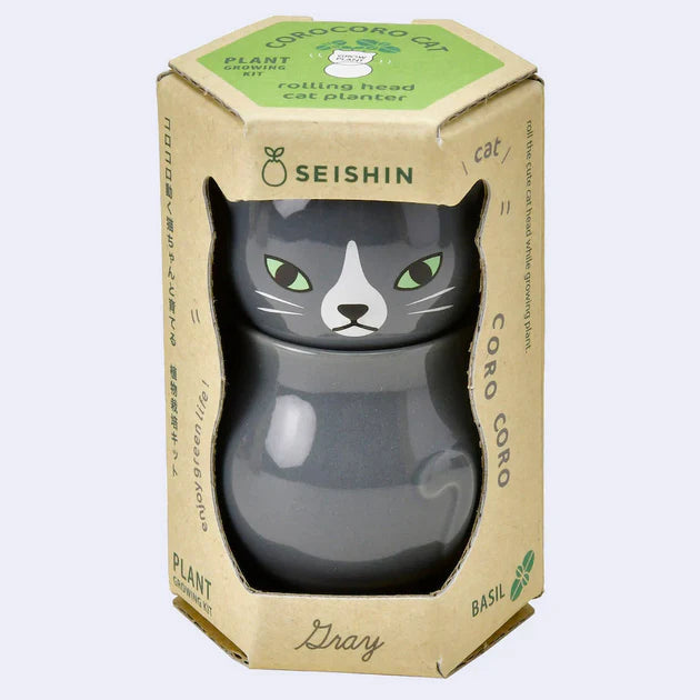 Seishin Coro Coro Cat Sweet Basil Growing Kit