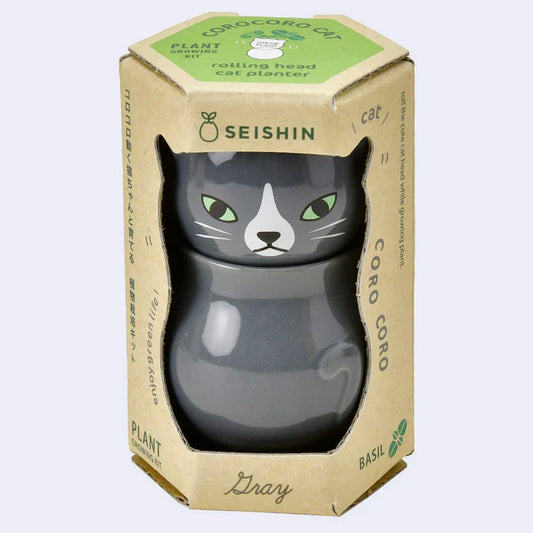 Seishin Coro Coro Cat Sweet Basil Growing Kit