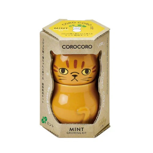 Seishin Coro Coro Cat Mint Growing Kit