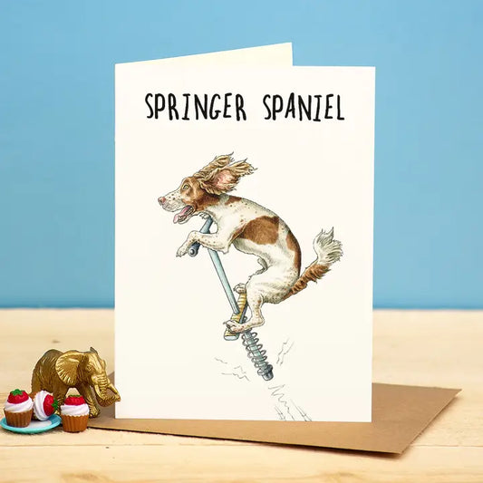 Bewilderbeest Greeting Card Springer Spaniel