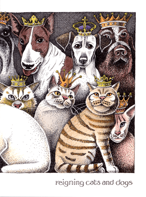 Simon Drew Greeting Card Reigning Cats and Dogs