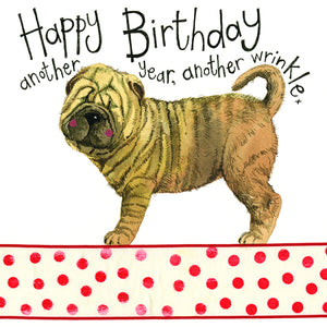 Alex Clark Greeting Card Wrinkles Happy Birthday