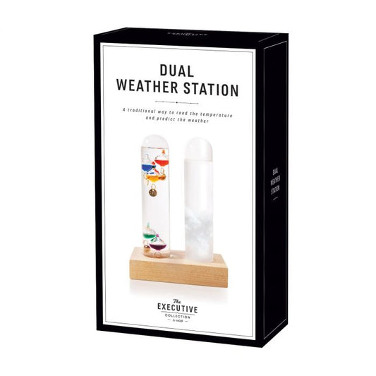 Maverick Dual Weather Station