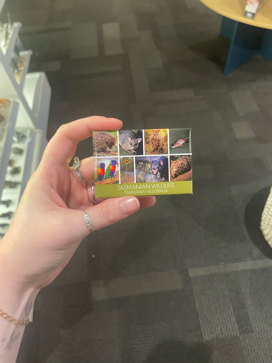 Fridge Magnet Tasmanian Wildlife Tasmania