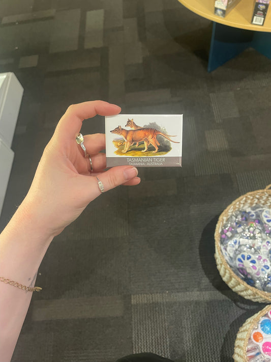 Fridge Magnet Tasmanian Tiger Tasmania