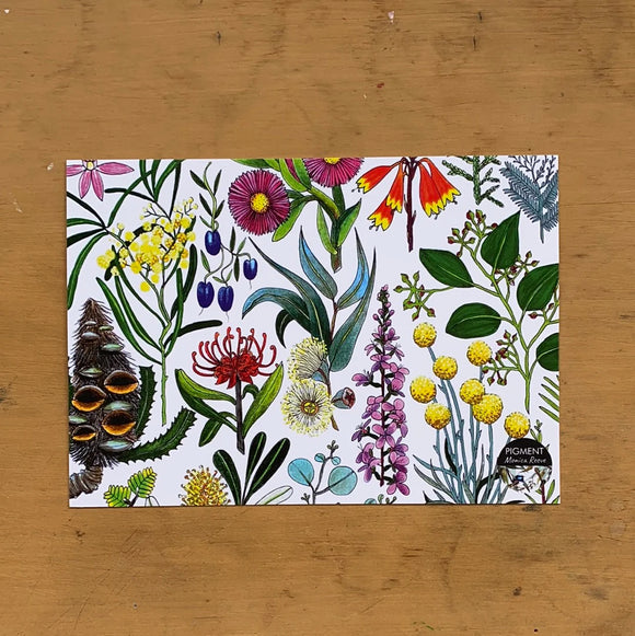 Tasmanian Wildflowers Postcard by Monica Reeve