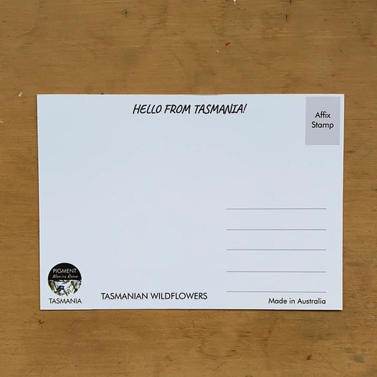 Pigment by Monica Reeve Postcard Tasmanian Wildflowers