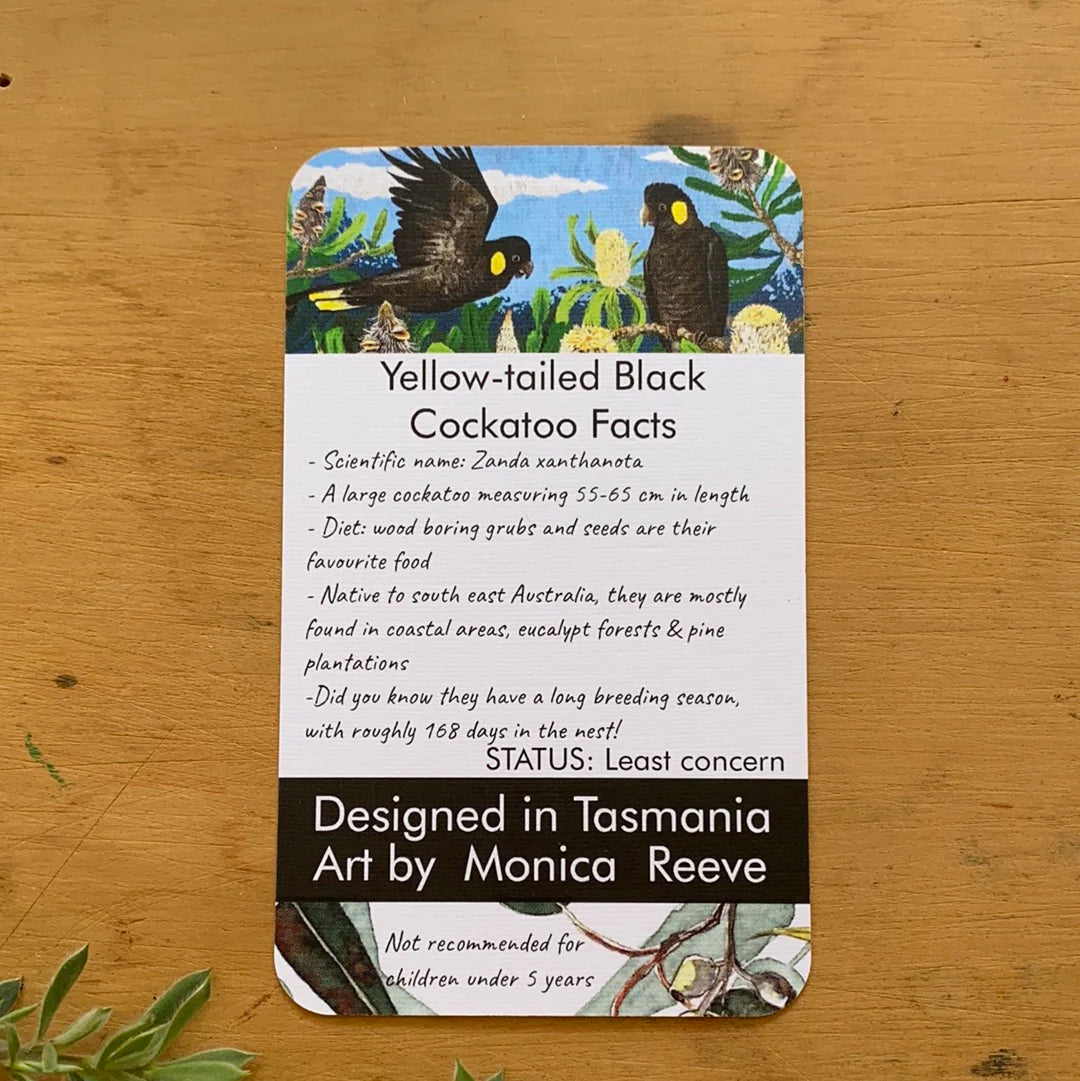 Pigment by Monica Reeve Enamel Pin Black Cockatoo