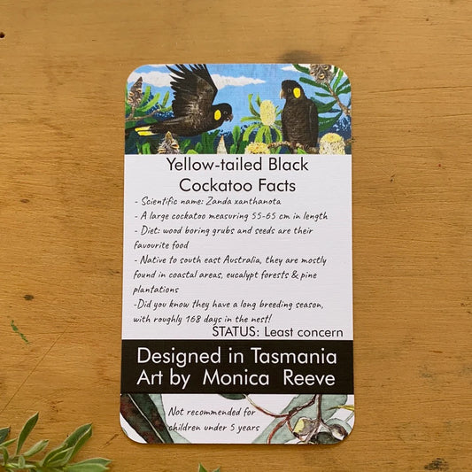 Pigment by Monica Reeve Enamel Pin Black Cockatoo