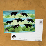 Tasmanian Devil Postcard by Monica Reeve