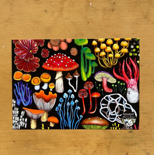 Pigment by Monica Reeve Postcard Tasmanian Fungi