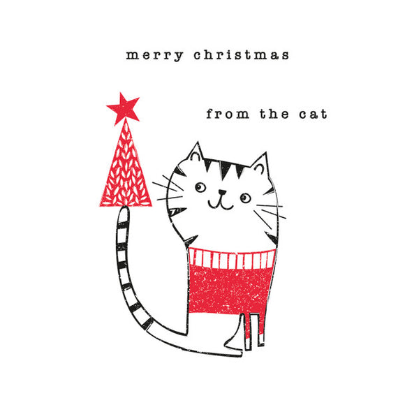 Belly Button Design From the Cat Christmas Card