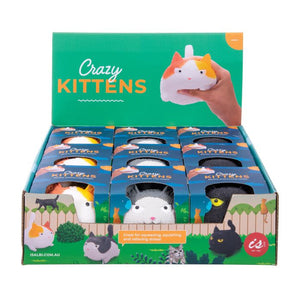 IS Gift Crazy Kittens Squishy Sensory Toy