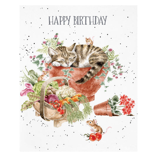Wrendale Fur Feather And Whiskers Greeting Card Tabby Birthday