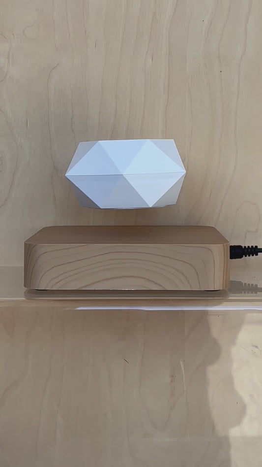 Levitating Bonsai Flower Pot