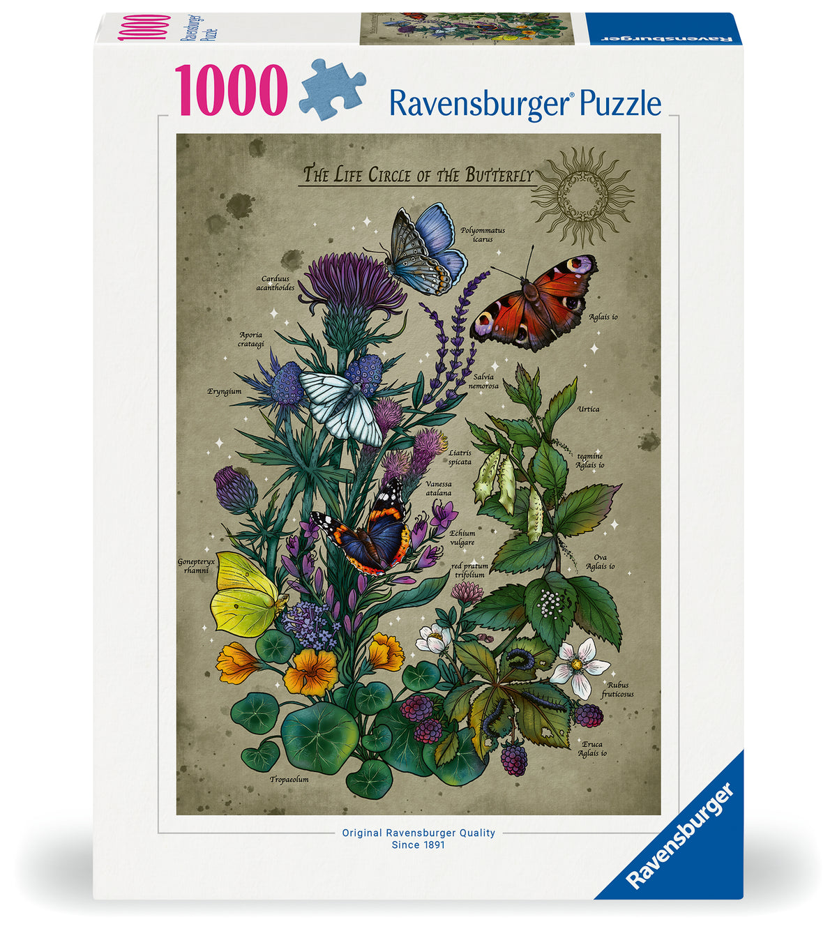 Ravensburger 1000pc Jigsaw Puzzle Lifecircle Butterfly