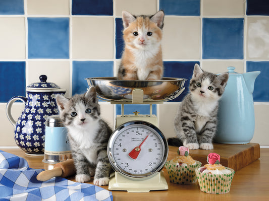 Ravensburger 1500pc Jigsaw Puzzle Kittens in the Kitchen