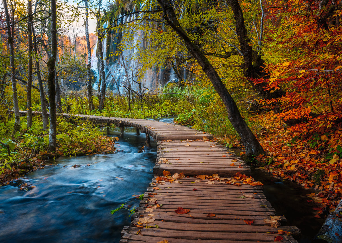 Ravensburger 1000pc Jigsaw Puzzle Autumnal Forest Path