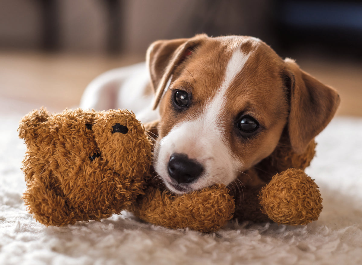 Ravensburger 500pc Jigsaw Puzzle Cuddle Buddies