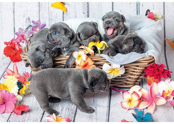 Ravensburger 2x12pc Jigsaw Puzzle Cute Little Furballs