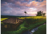 Ravensburger 500pc Jigsaw Puzzle Bali Rice Fields