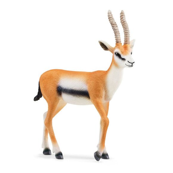 Schleich Wild Animal Figurine Thomson Gazelle