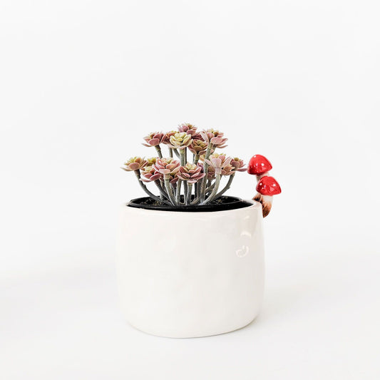 Urban Products Toadstool Planter White 13cm