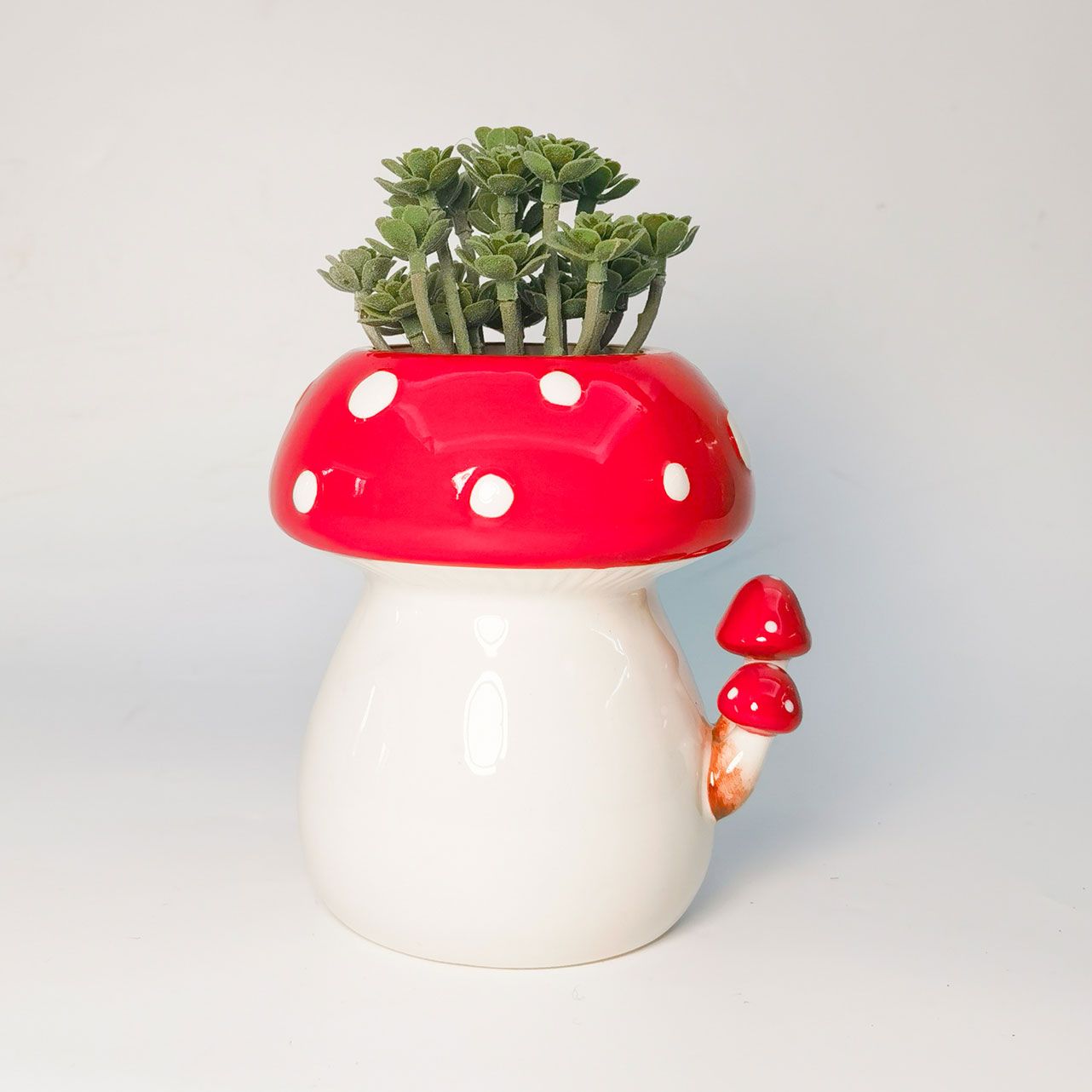 Toadstool Planter with little toadstools on the side with a plant inside against a white background