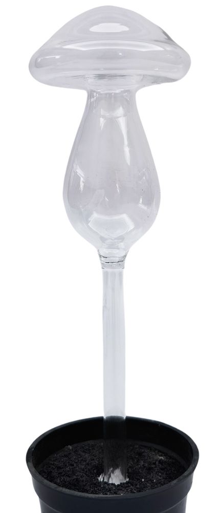 Toadstool Plant Water Seeper Clear 22cm