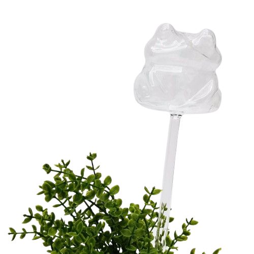 Frog Plant Water Seeper Clear 26cm