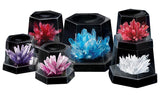 4M 7 Coloured Crystals Growing Kit