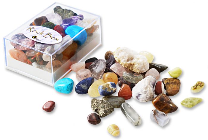 British Fossils Minerals and Rocks Box Assorted