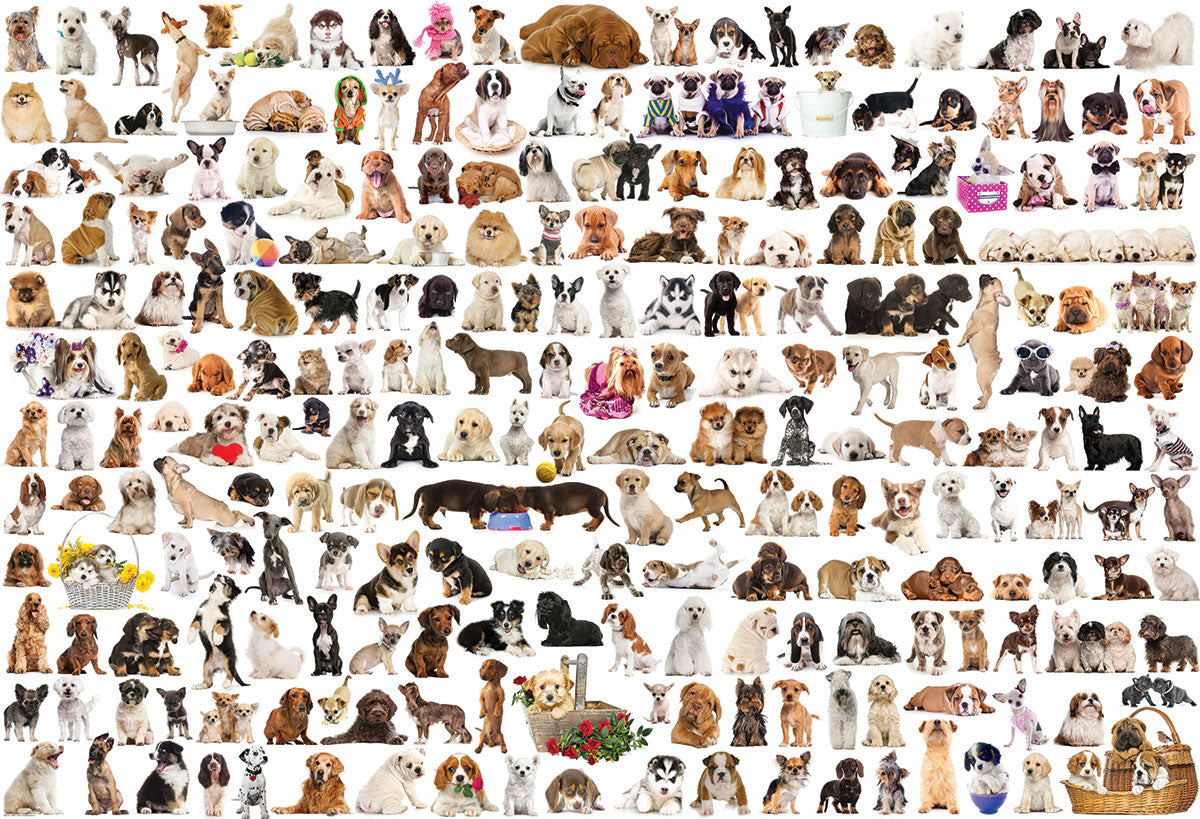 Eurographics 2000pc Jigsaw Puzzle The World of Dogs