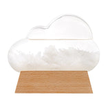 Weather Station Fitzroys Storm Cloud Glass
