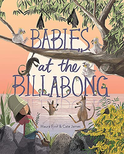 Babies At The Billabong by Maura Finn and Cate James Board Book