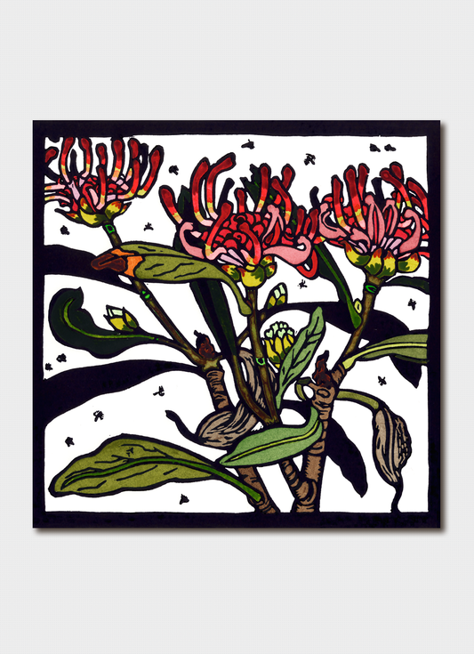 Kit Hiller Greeting Card Tasmanian Waratah