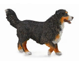 CollectA Dog Figurine Bernese Mountain Dog
