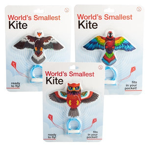 Kite Worlds Smallest Bird