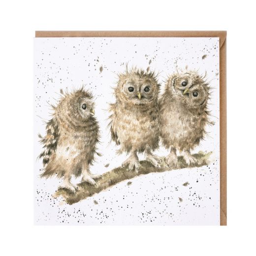 Wrendale Country Set Greeting Card You First 3 Owls
