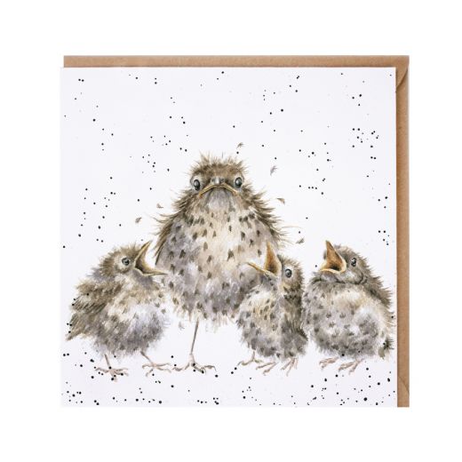 Wrendale Country Set Greeting Card Frazzled bird With Chicks