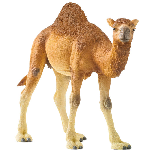 Schleich Domestic Animal Figurine Dromedary Camel