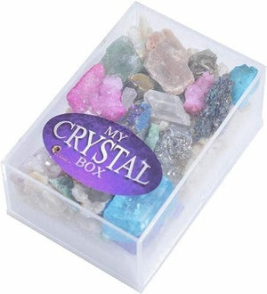 British Fossils Crystal Box Assorted