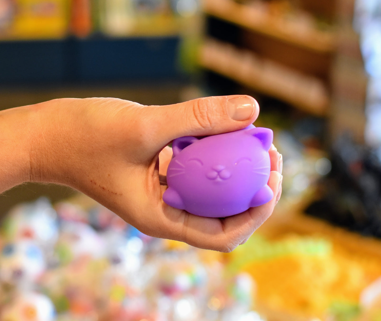 NeeDoh Squeezy Cool Cats