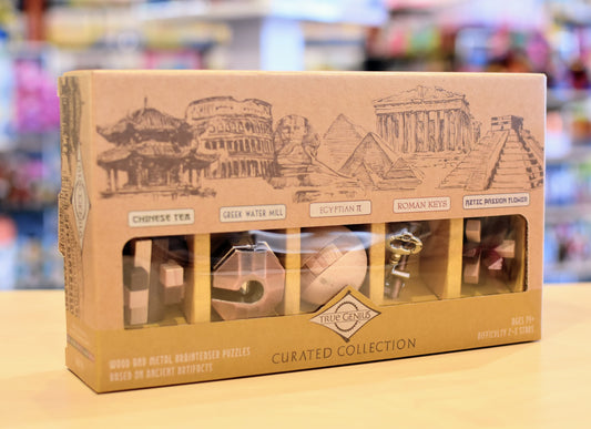 True Genius Curated Collection 5 Assorted Brainteasers