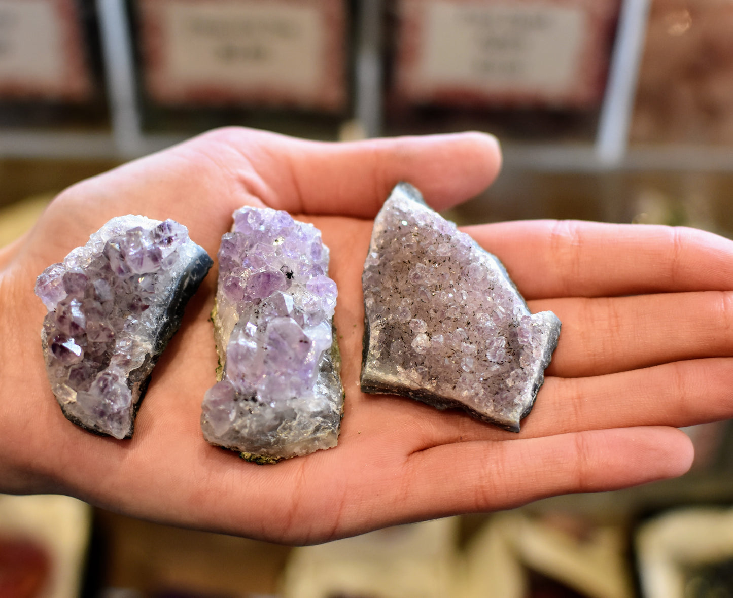 British Fossils Amethyst Cluster Large